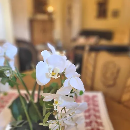 Apartment Nostalgie-apartment Seeidylle